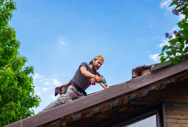 Best Asphalt Shingle Roofing  in Dayton, VA